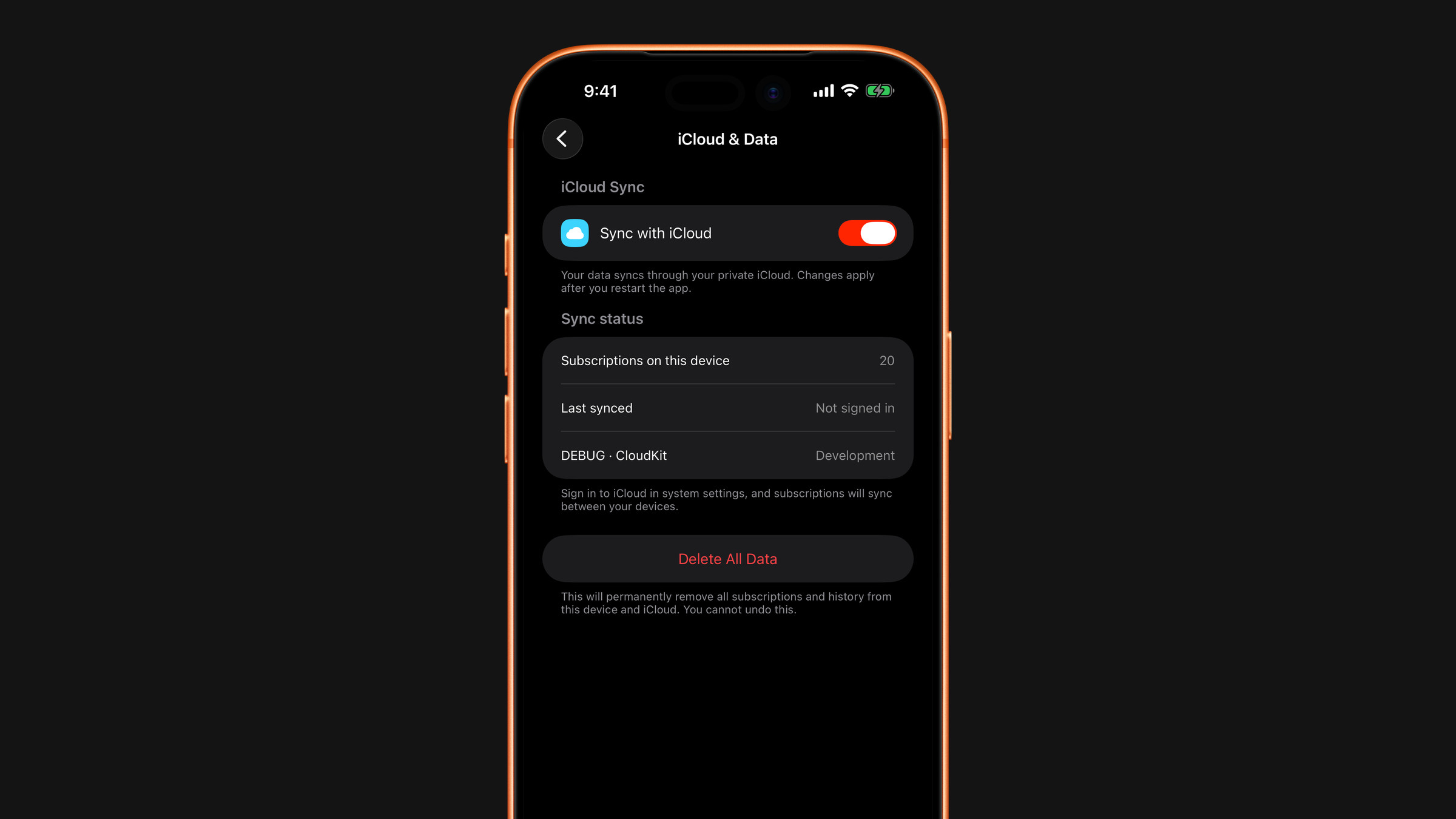 The iCloud and data settings in Subscrr on iPhone.